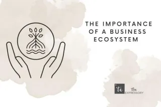 Creating an Ecosystem of Opportunities