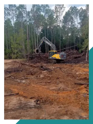 How Much Does Land Clearing Cost in Northwest Florida