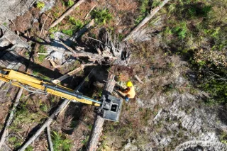 Land Clearing vs. Mulching: What's Right for Your Project?