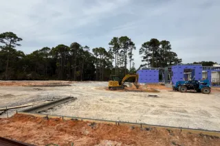 Land Clearing Regulations in Florida Explained
