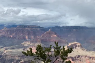 The Grand Canyon and the Five Years That Changed Everything