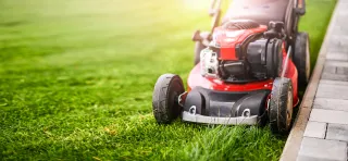 Lawn Care Tips: Crafting a Southeast ID Masterpiece