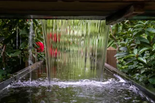 Landscaping Ideas: Crafting Your Southeast ID Oasis