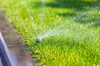 Essential Lawn Care Tips for Vibrant Yards in Southeast ID