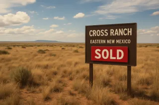 Direct Land Sales: The Hassle-Free Way to Sell Your Inherited Land
