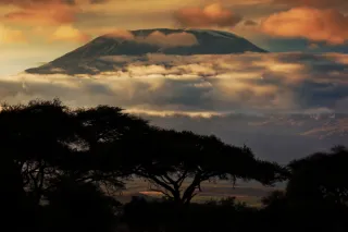 Unveiling the Wonders of Kilimanjaro