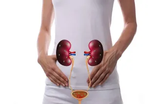 التهاب المسالك البولية.. 90% من الحالات تشفى دون مضاعفات! - الدكتور صالح بن صالح