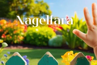 Nagelfara