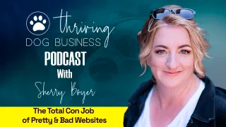 Episode 004 - The Total Con Job of Pretty & Bad Websites with Sherry Boyer