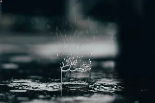Water Has More Impact On Your Health Than Food