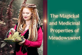 The Magickal and Medicinal Properties of Meadowsweet