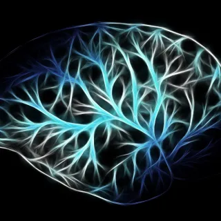 Breaking Down the Cosmic Connection: how the universe speaks to us through the mundane