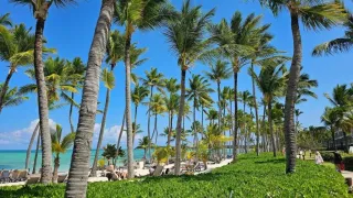 Barcelo Bavaro Grand Resort, Punta Cana Dominican Republic