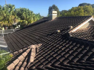 Roof Cleaning Services in Tarpon Springs, FL – Clean Streak Pressure Washing