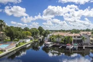 How Do You Know It’s Time for Roof Cleaning in Palm Harbor, FL?