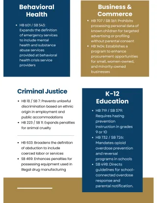 New Virginia Legislation: Key Changes in Behavioral Health, Business, Criminal Justice, and Education