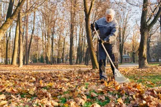 August Lawn Care: Preparing Your Kokomo Indiana Property for Fall Recovery