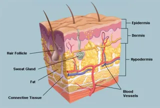 10 Tips to Improve Skin for the Over 50’s