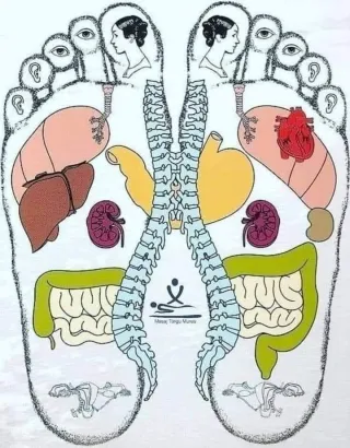 The Journey Beneath Our Feet