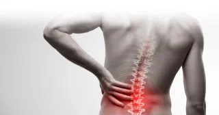 Understanding and Treating Low Back Pain: Comprehensive Insights from The Disc Doctor