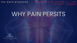 Why Pain Persists