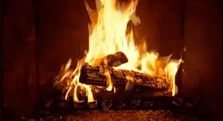 Oak vs Birch: What is the Firewood Difference in Duluth?