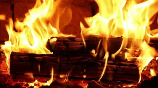 Birch or Oak: What Burns Better for Home Heating?