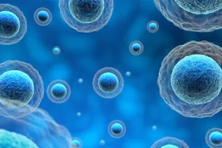 The Future of Extracellular Vesicle (ECV) Therapy for Chronic Illness in Kansas City