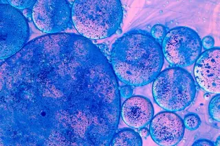 Exploring Biological Therapies for Non-Healing Wounds: A Promising Treatment for Kansas City Residents