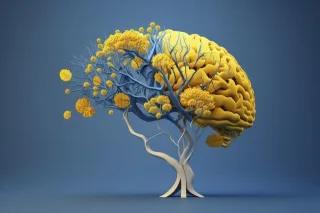 Mind & Body in Harmony: Why Mental Health Deserves a Seat at Your Primary Care Visit