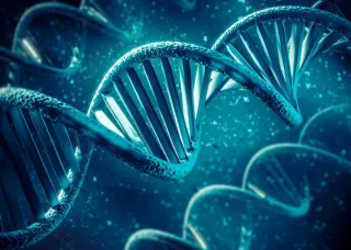 Bouncing Back from Bursitis: How PRP Therapy Helps Kansas City Patients Heal Naturally