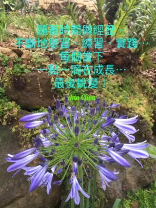 賽斯& 奧修 &靜心&個人心靈成長