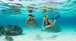 How to Snorkel in Islamorada Florida