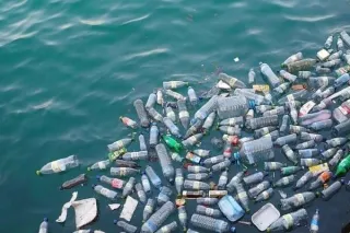 El agua embotellada en verano: lo que nadie te dice