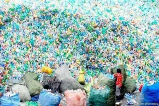 1 Millón de Botellas por Minuto: La Emergencia Mundial del Plástico y Cómo Proteger a tu Familia Desde Casa
