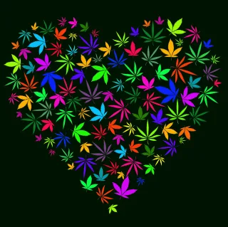 Cannabis and Cardiovascular Disease