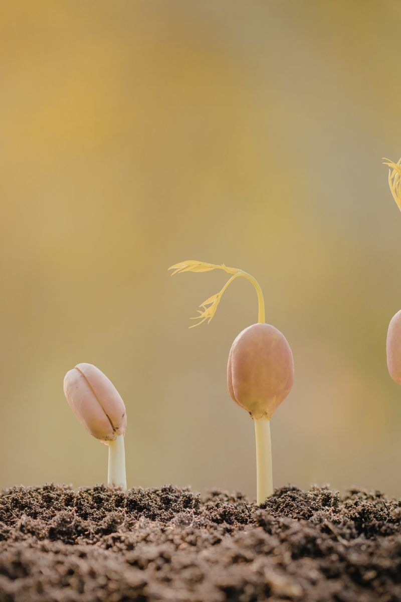 When the Body Stops Being Quiet