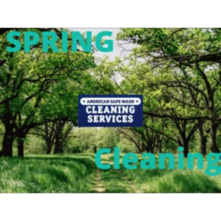 Why American Safe Wash