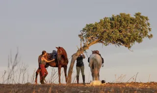 Risk, Reward, Repeat: Building a Risk-Intelligent Mindset for Wild Leaders
