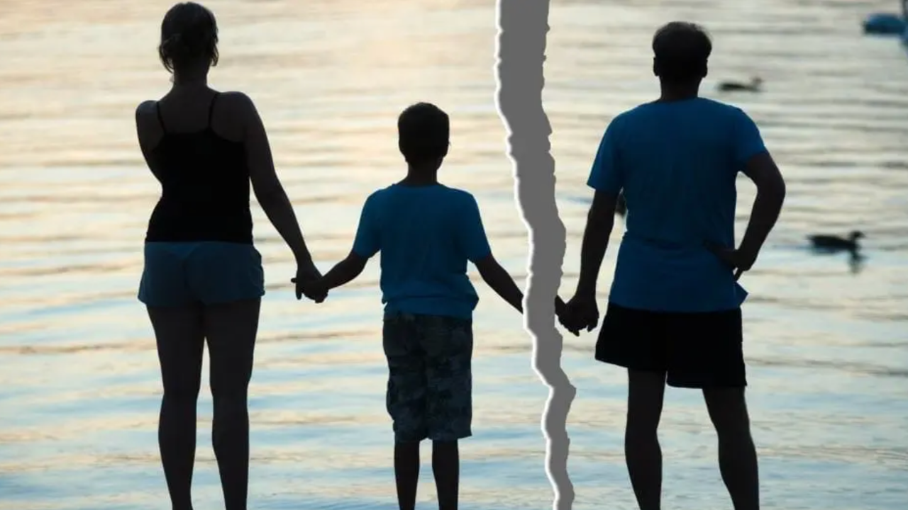 What Drives Parental Alienation? Exploring the Root Causes st