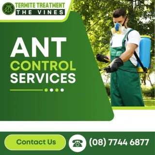 Ant Control in The Vines: Ensuring a Ant-Free Home