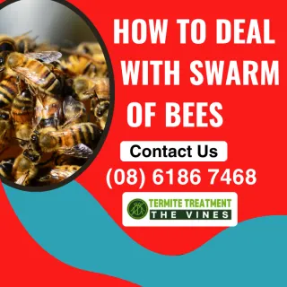 How To Deal With A Swarm Of Bees?