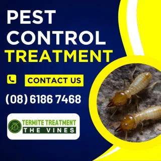 The Importance of Pest Control Treatments in Cafes