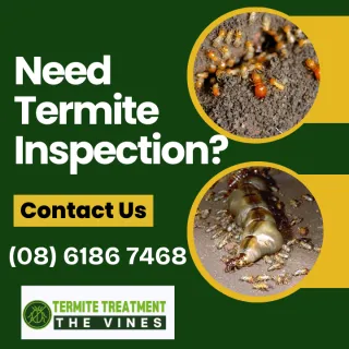 PRE-PURCHASE TERMITE INSPECTION