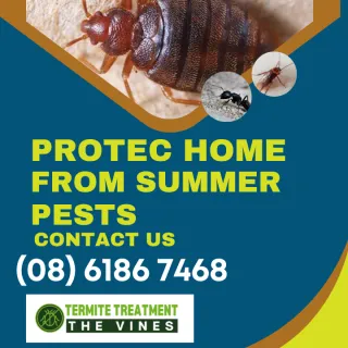 How to protect your home this summer from pests