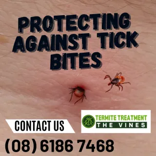 Protect Yourself Against Tick Bites This Summer