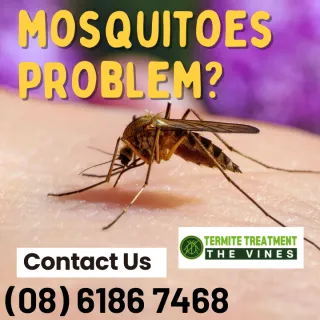 Mosquitoes