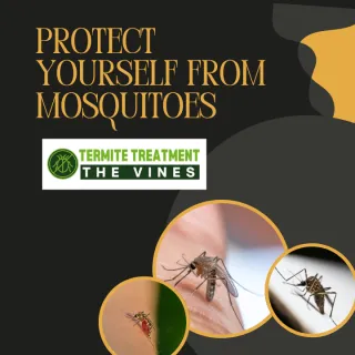 Protect Yourself from Mosquitoes