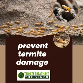 What Does Termite Damage Look Like?