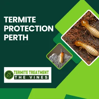 Perth Termite Treatment Solutions for Every Home